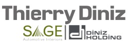 THIERRY DINIZ OTOMOTİV SAN. TİC. A.Ş.